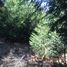 Land for sale in Bariloche, Rio Negro, Bariloche