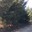  Land for sale in Bariloche, Rio Negro, Bariloche