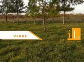  Land for sale in Brandsen, Buenos Aires, Brandsen