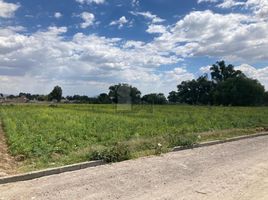  Land for sale in Atenco, Mexico, Atenco