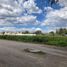  Land for sale in Atenco, Mexico, Atenco