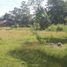  Land for sale in Dauis, Bohol, Dauis