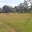  Land for sale in Dauis, Bohol, Dauis