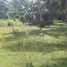  Land for sale in Dauis, Bohol, Dauis