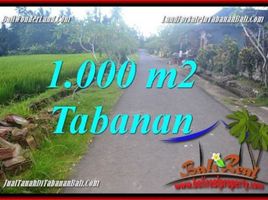  Land for sale in Selemadeg, Tabanan, Selemadeg