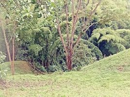  Land for sale in Manizales, Caldas, Manizales