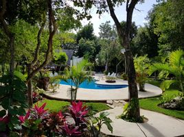  Grundstück zu verkaufen in Cozumel, Quintana Roo, Cozumel