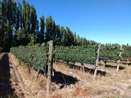  Grundstück zu verkaufen in San Rafael, Mendoza, San Rafael