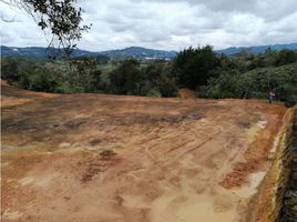  Terreno (Parcela) en venta en Guarne, Antioquia, Guarne