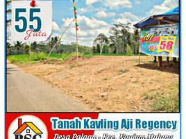  Land for sale in Kepanjen, Malang Regency, Kepanjen