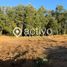  Land for sale in Mariquina, Valdivia, Mariquina