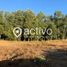  Land for sale in Mariquina, Valdivia, Mariquina