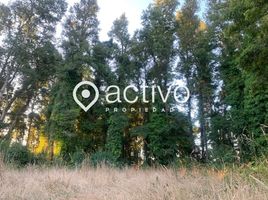  Land for sale in Mariquina, Valdivia, Mariquina