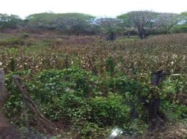  Land for sale in Puerto Vallarta, Jalisco, Puerto Vallarta