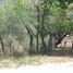  Land for sale in Puerto Vallarta, Jalisco, Puerto Vallarta