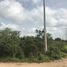  Grundstück zu verkaufen in Conkal, Yucatan, Conkal