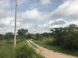  Grundstück zu verkaufen in Conkal, Yucatan, Conkal