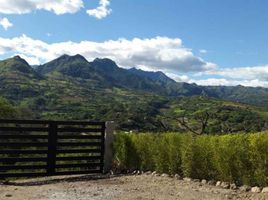  Terrain for sale in Santa Isabel Chaguarurco, Santa Isabel, Santa Isabel Chaguarurco