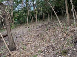  Land for sale in Del Centro, Oaxaca, Del Centro, Oaxaca