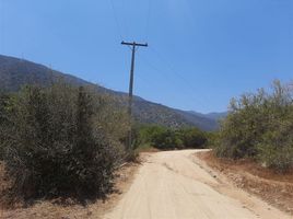  Terreno (Parcela) en venta en Melipilla, Santiago, Melipilla, Melipilla