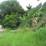  Terreno (Parcela) en venta en Cebu City, Central Visayas, Cebu City, Cebu, Central Visayas, Filipinas
