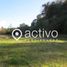 Terreno (Parcela) en venta en Ranco, Los Ríos, Futrono, Ranco