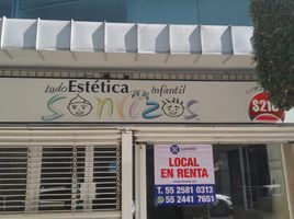 67 m2 Office for rent in Miguel Hidalgo, Mexico City, Miguel Hidalgo