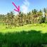  Land for sale in Kerambitan, Tabanan, Kerambitan