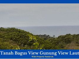  Land for sale in Yogyakarta, Tepus, Gunung Kidul, Yogyakarta