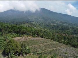  Tanah for sale in Bogor, West Jawa, Bogor Selatan, Bogor