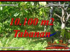  Tanah for sale in Selemadeg, Tabanan, Selemadeg