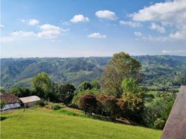 4 Schlafzimmer Haus zu verkaufen in Salento, Quindio, Salento