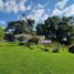 4 Schlafzimmer Haus zu verkaufen in Salento, Quindio, Salento