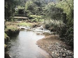  Terreno (Parcela) en venta en El Carmen De Viboral, Antioquia, El Carmen De Viboral