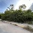  Terreno (Parcela) en venta en Cozumel, Quintana Roo, Cozumel, Quintana Roo