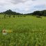  Land for sale in La Union, Ilocos, San Fernando City, La Union