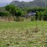  Land for sale in Tepoztlan, Morelos, Tepoztlan