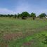  Land for sale in Tepoztlan, Morelos, Tepoztlan