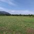  Land for sale in Tepoztlan, Morelos, Tepoztlan