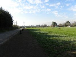  Land for sale in Chacabuco, Santiago, Colina, Chacabuco