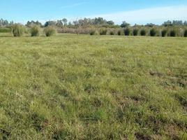  Land for sale in Colon, Entre Rios, Colon