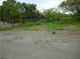  Land for sale in Anton, Cocle, Rio Hato, Anton