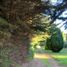  Land for sale in Llanquihue, Los Lagos, Puerto Varas, Llanquihue