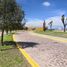 Terrain à vendre à Villa De Reyes, San Luis Potosi, Villa De Reyes