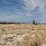 Terrain à vendre à Villa De Reyes, San Luis Potosi, Villa De Reyes