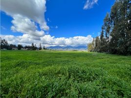  Terreno (Parcela) en venta en Valparaíso, Limache, Quillota, Valparaíso