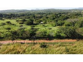  Land for sale in Cocle, Ola, Ola, Cocle