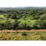  Land for sale in Ola, Cocle, Ola, Ola