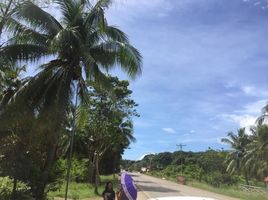  Land for sale in Bohol, Central Visayas, Dauis, Bohol