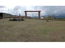  Land for sale in La Cumbre, Valle Del Cauca, La Cumbre